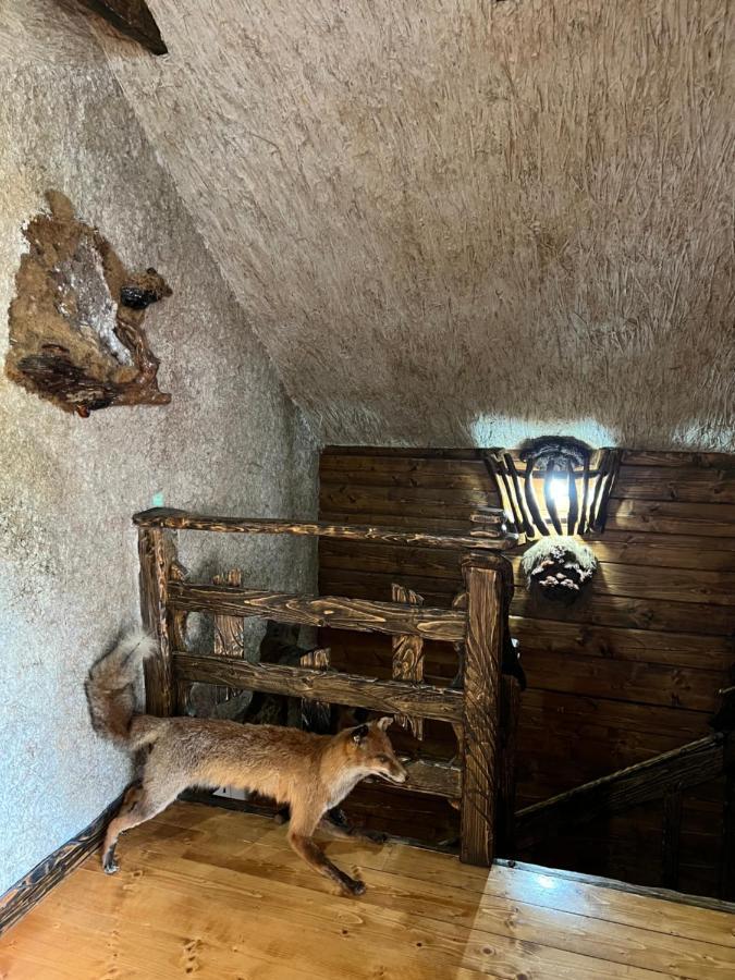 Zelenyj Raj Villa Pashkivtsi  Buitenkant foto