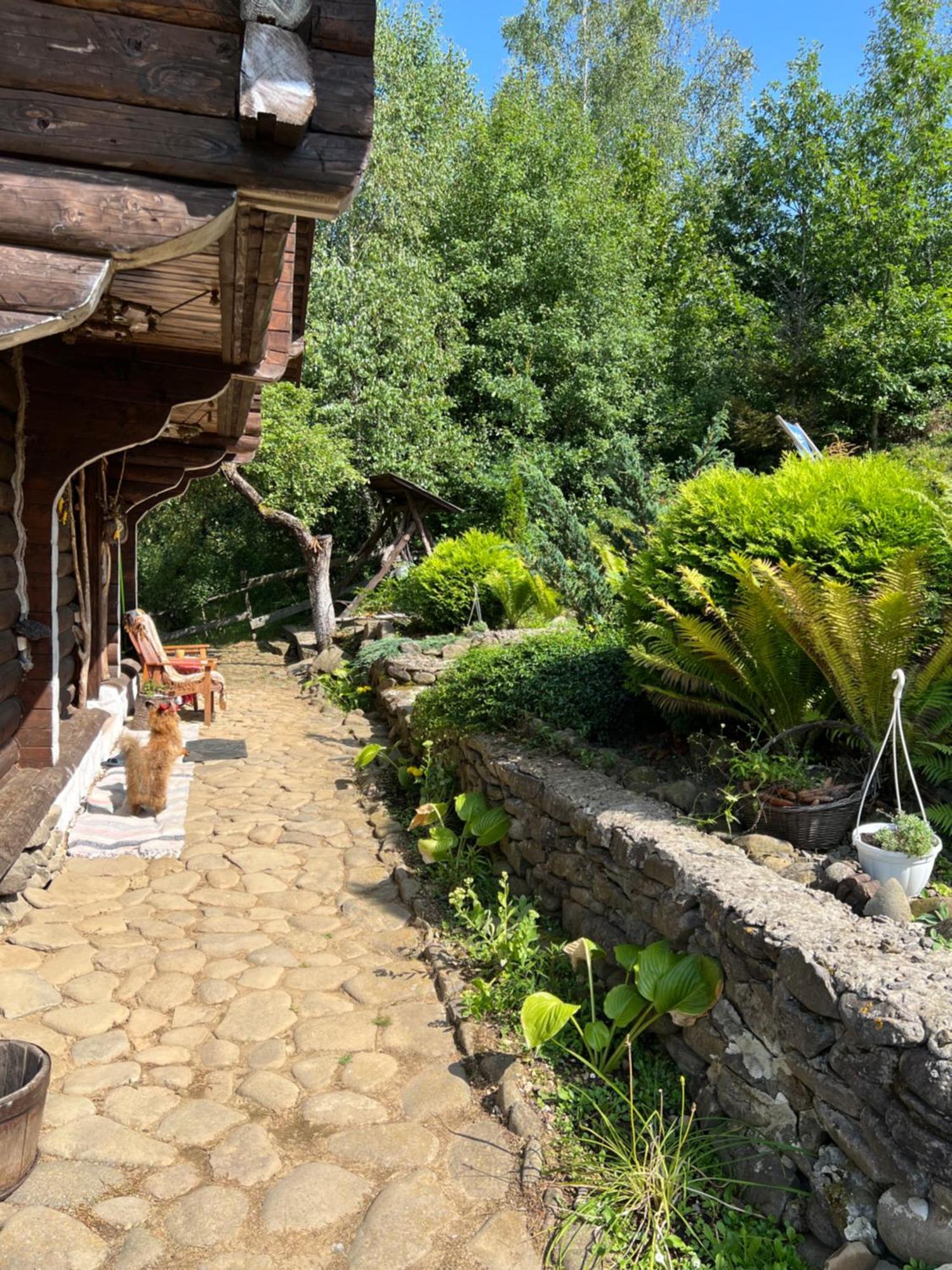 Zelenyj Raj Villa Pashkivtsi  Buitenkant foto