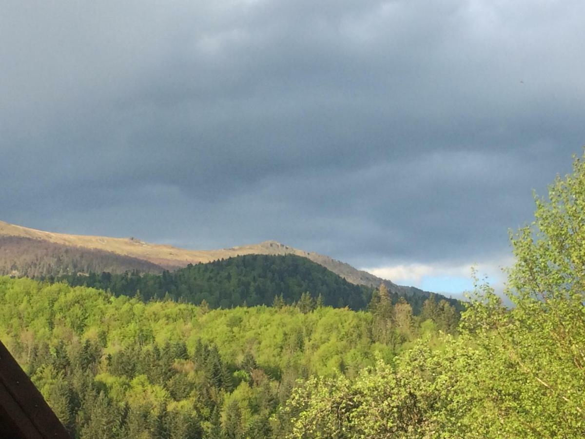 Zelenyj Raj Villa Pashkivtsi  Buitenkant foto